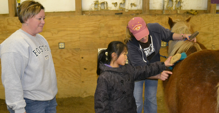 Equine Assisted Therapy Indoors